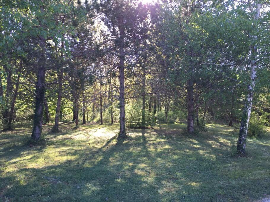 Grande Maison Avec Parc De 6000M2 Pompiey ภายนอก รูปภาพ